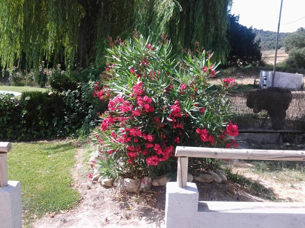 Hostal Rural Venta La Vega Ronda Kültér fotó